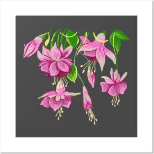 Fuchsia flower Posters and Art